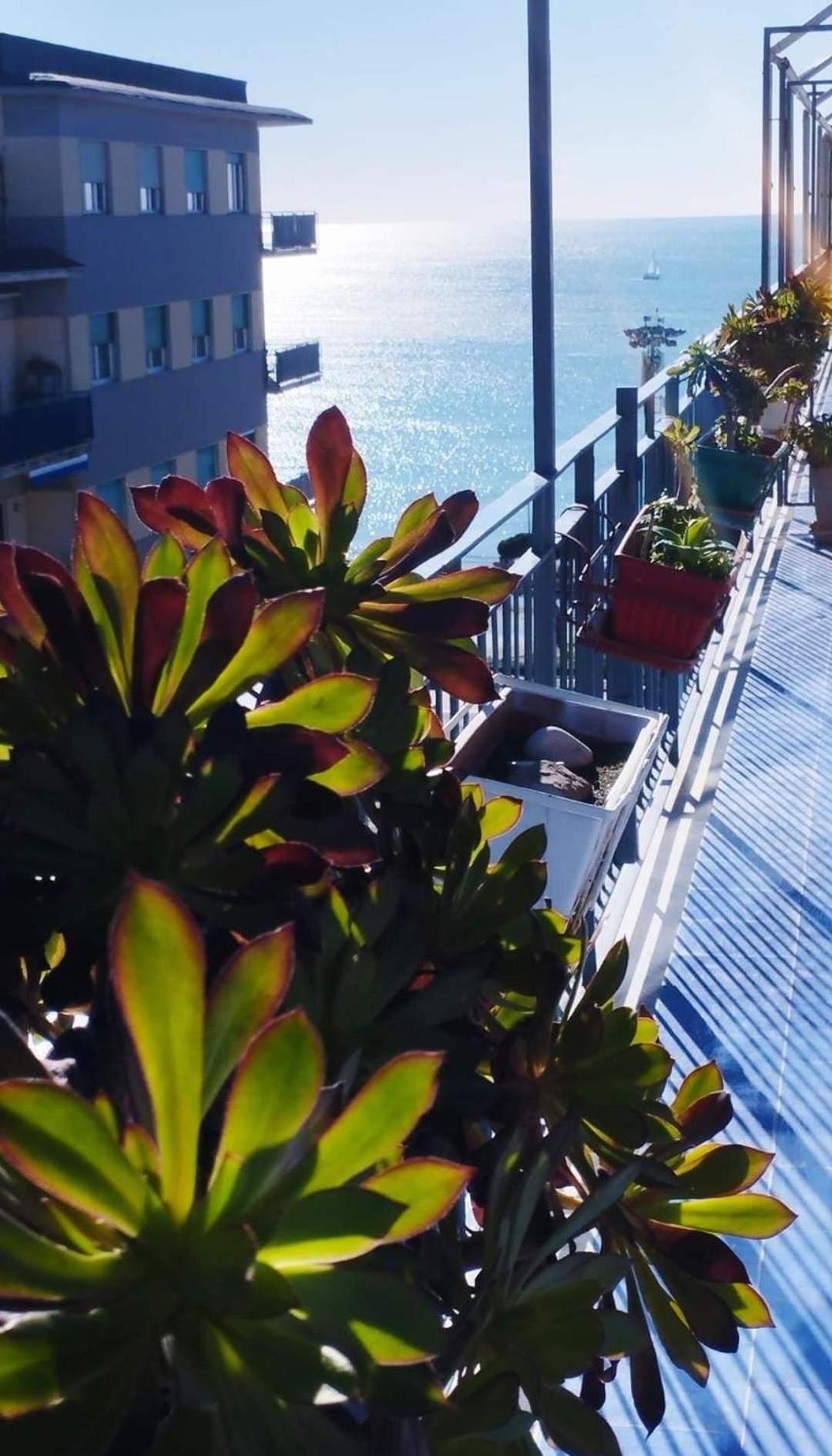 Alta Quota Relax On The Sea Bed & Breakfast Салерно Екстериор снимка